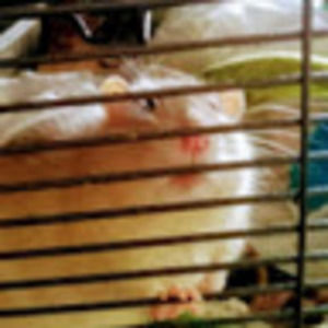 Meet your Posher, Melanie